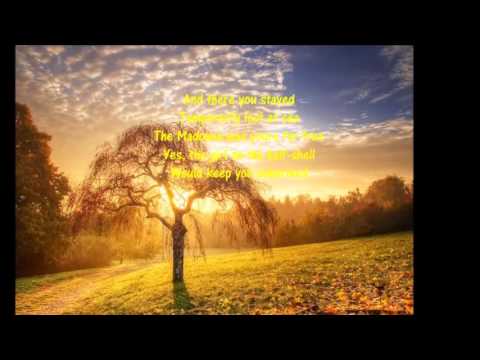 Diamonds and Rust by Joan Baez - 1975   First Album -