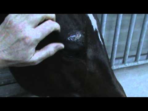 Av mit øje. Dejligt at blive nusset