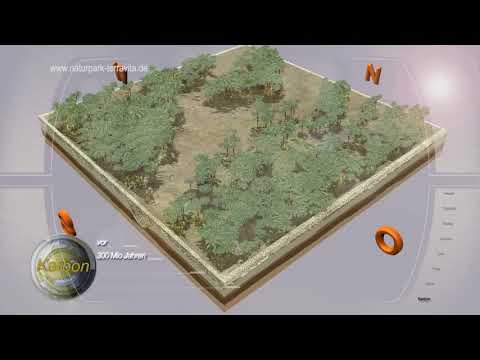 Erdzeitalter Karbon - Natur  und Geopark TERRA vita