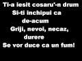 Dragne Roxana Cosarul Versuri