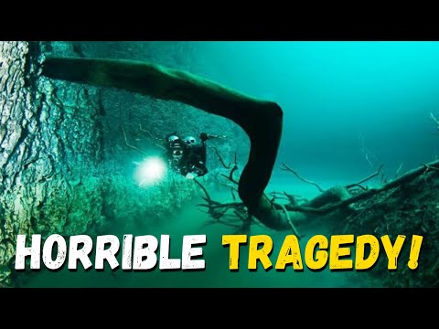From Clarity to Chaos: An Unexpected Turn in Cenote Angelita - Cave Diving Gone Wrong
