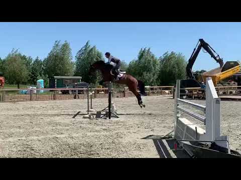 Prestige vh kluizebos