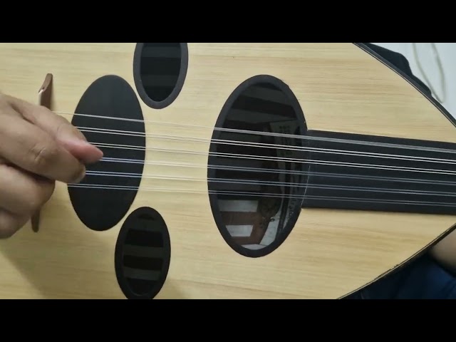 عود موسيقي _ العالمي