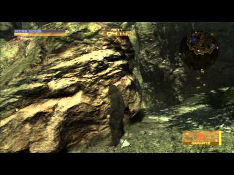 [MGO] Rineps vs. FoxHound23 - RES on F.F. 2011-05-18