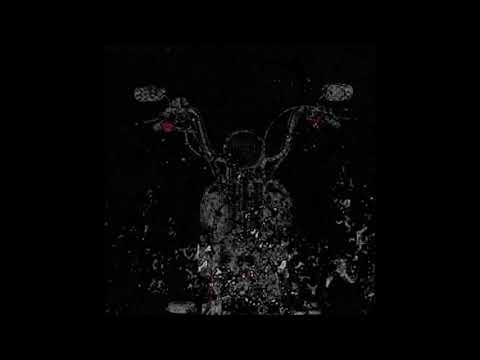 59. The Virus and Antidote - SaltWater (ft. KruddTheGuru x Lambo Lawson) [12.10.2017]