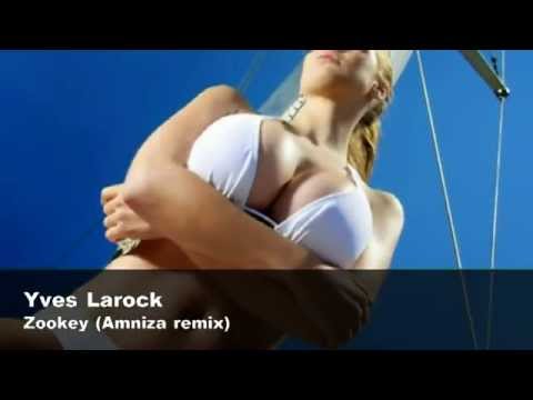 Yves Larock - Zookey (Lift Your Leg Up) (Amniza Remix 2012)