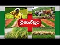 రైతునేస్తం PASUPULO MELAINA YAJAMANYA PADHATHULU Dt 08 09 2021