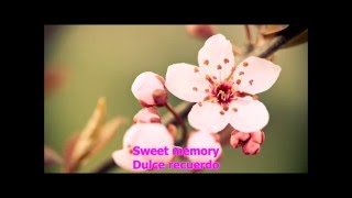 Melody Gardot   Sweet Memory Sub+Lyrics