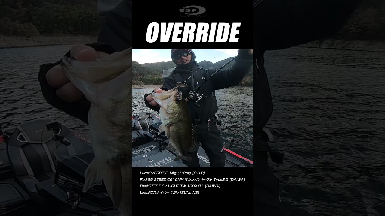 冬の定番オーバーライドのバイトシーン！ #並木敏成 #バス釣り #Fishing