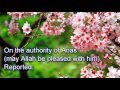 AMP Ramadan Messages 2
