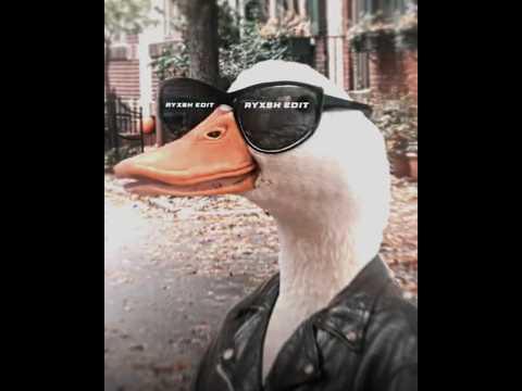 i wish i could walk | 𝙀𝙡𝙖 𝙑𝙞𝙧𝙖 𝙈𝙤𝙧𝙩𝙖𝙡 - 𝘿𝙅 𝙑𝙞𝙡𝙖õ 𝘿𝙎 (𝙎𝙡𝙤𝙬𝙚𝙙) 5𝙭30 | ayxsh edit