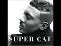 Super Cat - Turn