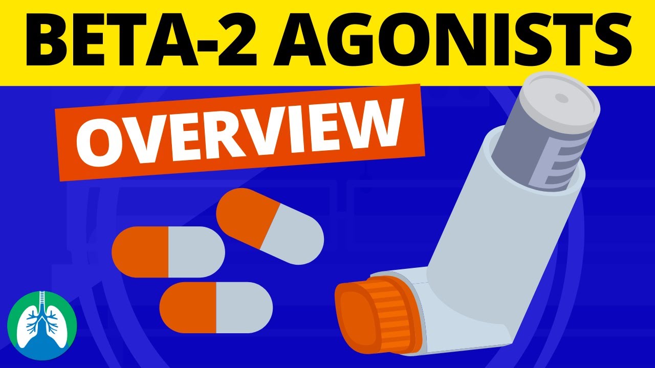 Beta-2 Adrenergic Agonists Medications (OVERVIEW) | Bronchodilators - YouTube