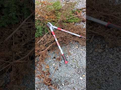 園芸 枝編み細工品