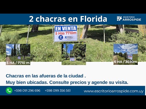 Chacras En Venta En Florida | Campo a minutos de la ciudad