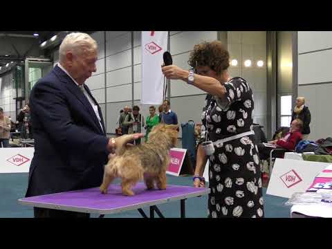 WDS 2017 Female Open