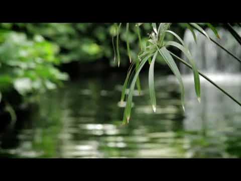 Ralf Bendix   Babysitter Boogie 1961