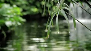 Ralf Bendix   Babysitter Boogie 1961