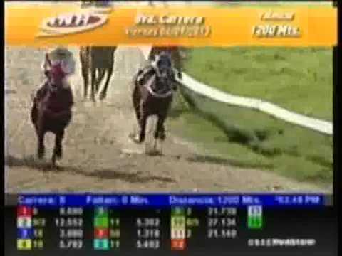 Resumen Viernes, 06 de Septiembre de 2013 - Valencia