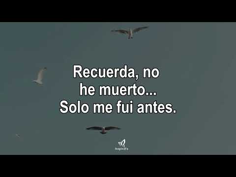 No he muerto, solo me fui antes...