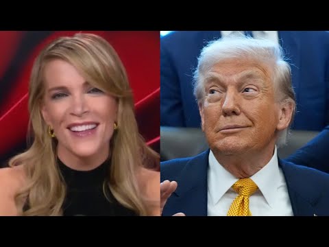 ‘Big daddy’: Megyn Kelly praises Trump as ‘politically clever’ for addressing ICE shooting