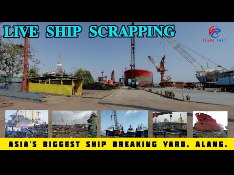 LIVE SHIP SCRAPPING || Asia's Biggest Ship Breaking Yard || Alang Port Official || Alang