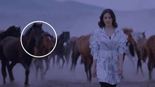 أغنية تركية مترجمة  يا طائري الكركي الزاهي    Tarık İster feat Elif Buse Doğan   Telli Turnam 2019