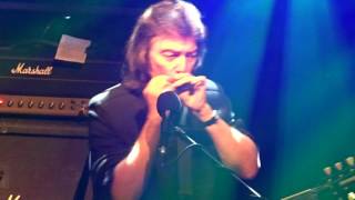 Steve Hackett - In The Skeleton Gallery - Live @ De Boerderij, Zoetermeer, NL 16-4-2017