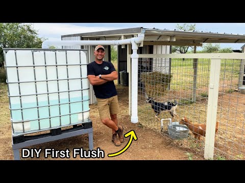 Rainwater Harvesting For the Goats - With DIY First Flush