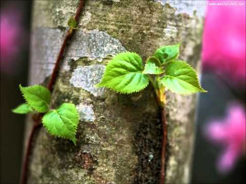 oscar de la fuente summertime (djs_from_outa_space_remix_edit)