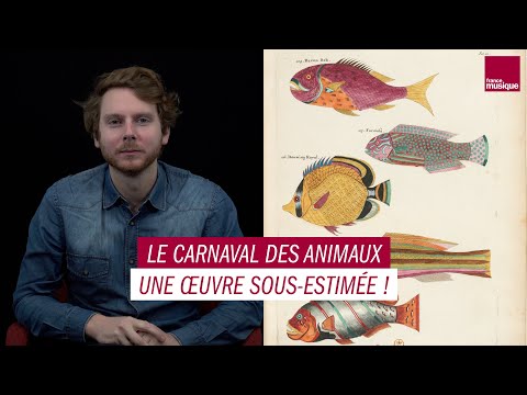 Le Carnaval des animaux : une œuvre sous-estimée - MAXXI Classique