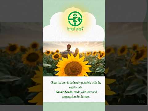 Kaveri Seeds Wishes You A Happy Makar Sankranti #kaveriseeds #makarsankranti #b#BountifulHarvest