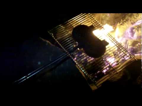 Rome Pie Iron Double Hamburger Cooker
