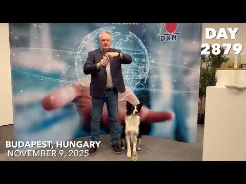 Daily Morinzhi - Day 2879 One bottle of DXN Morinzhi every day.