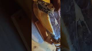 Пример реализации идеи, антисанкции с мясом