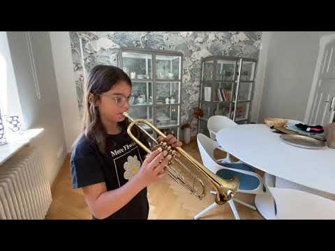 Believer - Imagine Dragons - Trompeten Cover gespielt von Adele