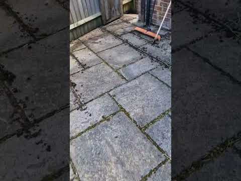 Tito Window Cleaning Services video.