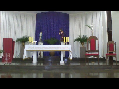 Santa Missa Domingo de Ramos 05/04/2020 10h