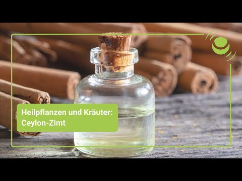 Ceylon-Zimt – Alles, was du über seine Wirkung wissen solltest.