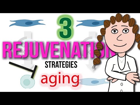 3 Rejuvenation Strategies For Aging.