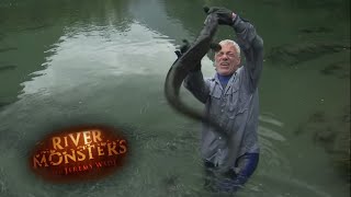 See What Happens When Jeremy Wade Covers Himself In Fish Guts | EELS | River Monsters