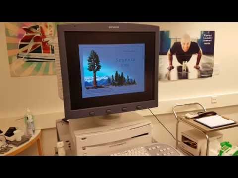Acuson Sequoia C512 - System error: MO disk is not ready