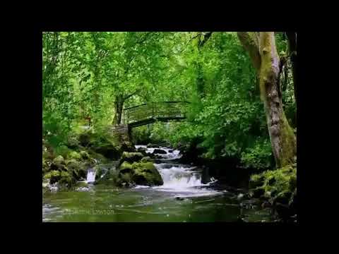 Manjusha Gore Live Stream