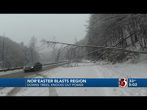 Nor'easter brings heavy snow, power outages across region