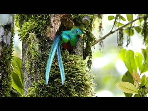 Discover the Beauty in Costa Rica