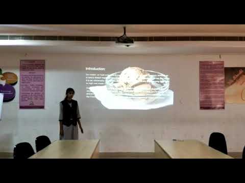 I CSE A 2019 20 Prasanthi's Presentation on Ice Creams @ ELCS LAB LENDI