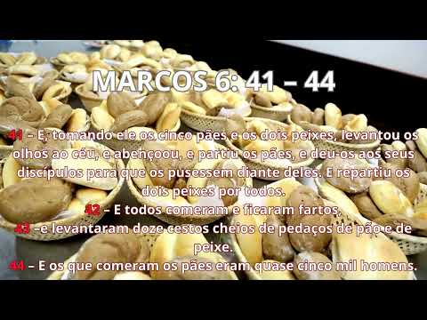MARCOS 6:  41 – 44