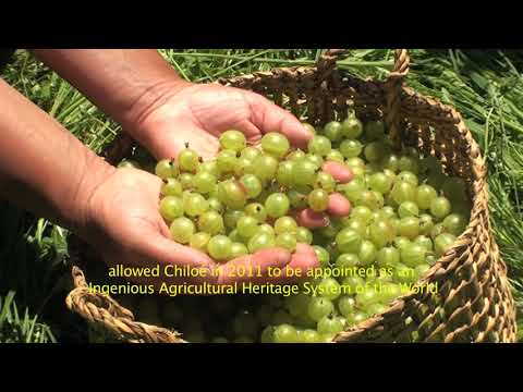 Welcome to Chiloé - CD Territories/ Bienvenidos a Chiloé - Territorios DC