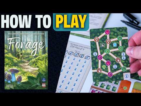 Forage | How to Play | Learn to Play in 13 Minutes! | A Cozy Roll & Write Board Game