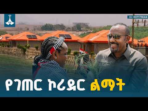 በምስራቅ ወለጋ ዞን የመደ ጃለላ ቀበሌ የገጠር ኮሪደር ልማት ሥራ ETV | EBC | EBCDOTSTREAM